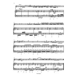 Sonata for Treble (Alto) Recorder and BC : from Der getreue Music-Meister, TWV 41:B3 B flat Major